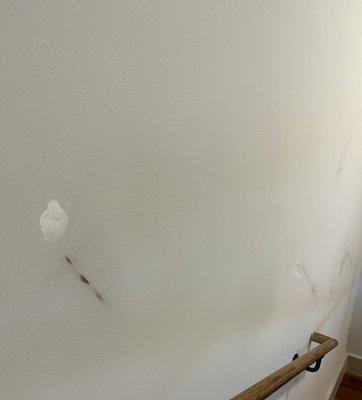 Tera Moving Services