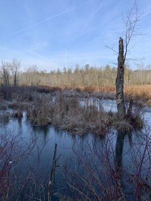 Pleasant Valley Preserve