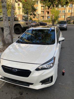 All City's Auto Glass