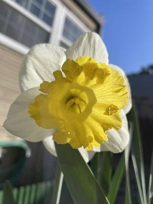 In Season Market and Nursery