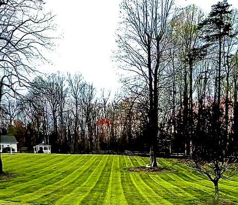 Dillon's Landscaping Service