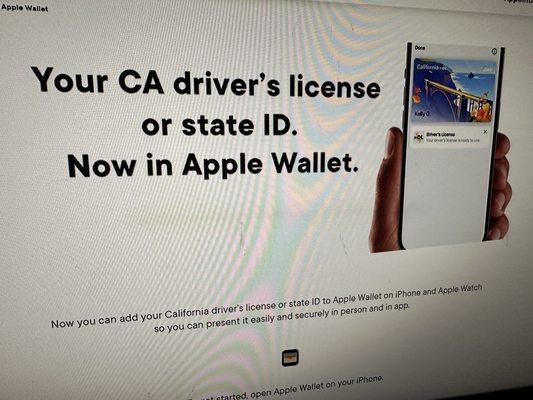 Department of Motor Vehicles