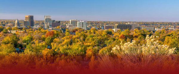 Strategic Mergers & Acquisitions