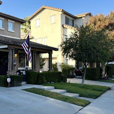 California Dream Scape