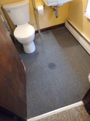 Piss stains on bathroom carpet.