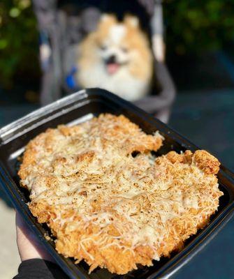 Snowflake Cheese Katsu: Pork Cutlet topped w/ cheese, includes miso soup, mac salad, cabbage salad, rice ($21.95) - Bigger than TT!