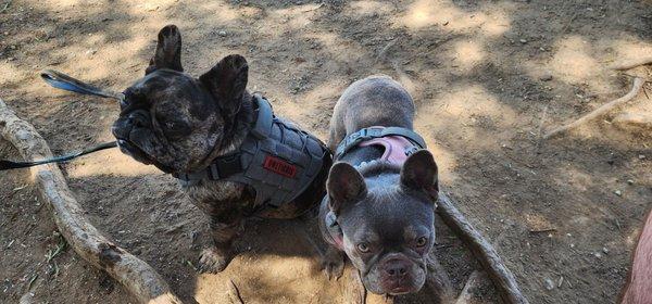 Peters Canyon Regional Park