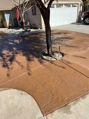 Mendoza Concrete Construction