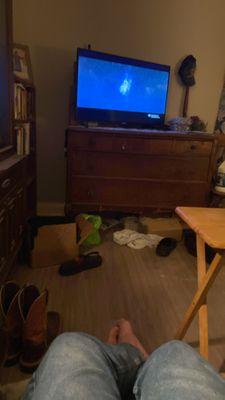 Lairds Cleaning & Floors