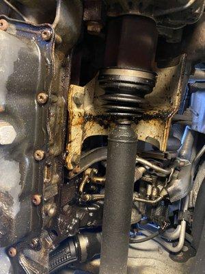 Oil dumping out of the back of the engine after they removed the heads and cleaned injectors.