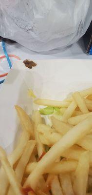 The Middle Feast Food Truck