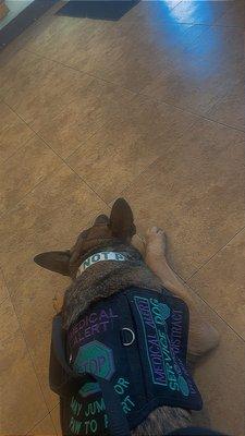 ABD Kennels Boarding and Training.