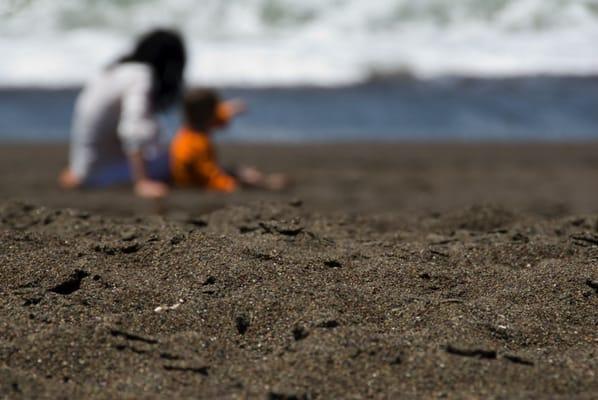 Wesley Stahler, LMFT, RDT, ECMH