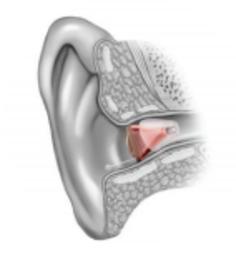 Edison Stanford Hearing Aid Center