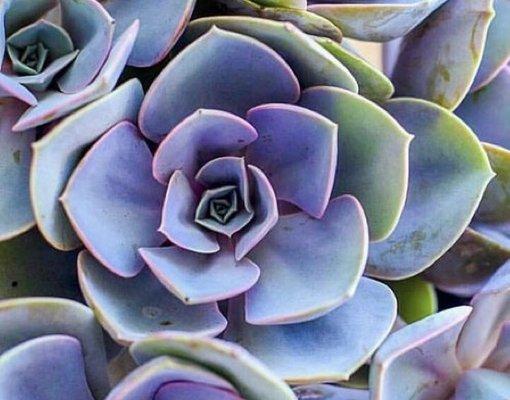 Kā'anapali Cleaning and Home Care