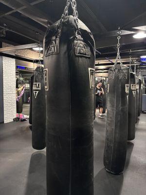 TITLE Boxing Club Elmhurst