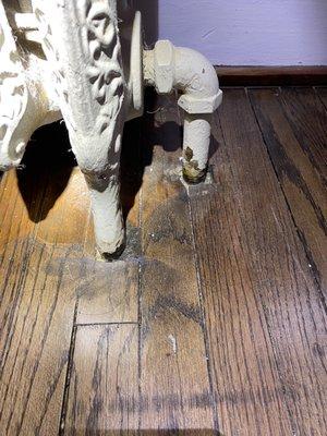 Hardwood Restoration Services