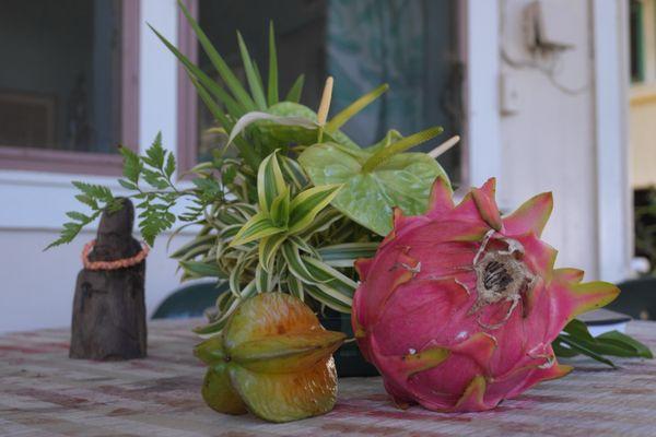 Welcoming Hawaiian Fruit