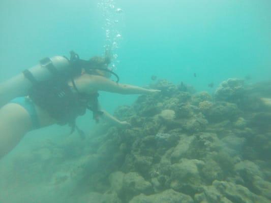 Try Scuba Diving - Honolulu
