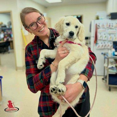 Oconomowoc Animal Hospital