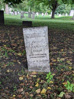 Elmwood Avenue Cemetery