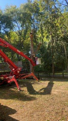 KD Tree Service
