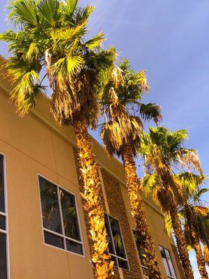 Nevada Kidney Disease and Hypertension Centers