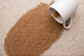 Excellence in carpet cleaning since 2008.