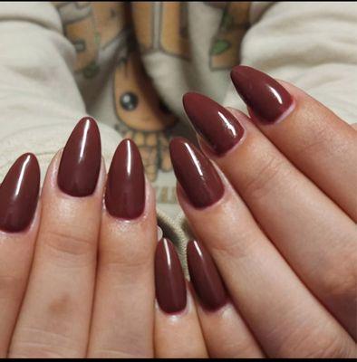 Reflection and Revive Studio