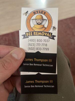 Kyle's Bee Removal