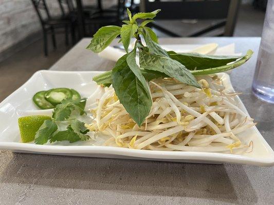 The Pho Pot
