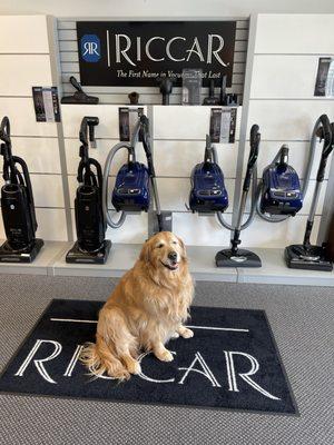 Ace Vacuums