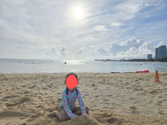 Little Fish Ocean Swimming