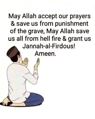 Ali's Auto Alliance AAA