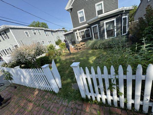 Removed all old grass