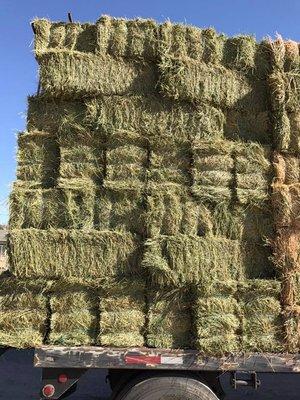 Alfalfa grass mix. Located at 16361 Yucca St. Hesperia, CA 92345 by Main St and Third Ave.