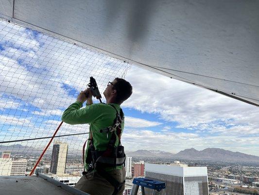 No pigeon job too big for us to handle!