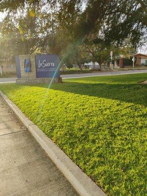 LG Landscaping Services