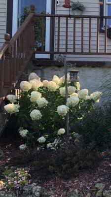 Gabrielle’s Garden & Gifts