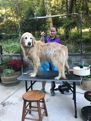 Calming Cuts Dog Grooming