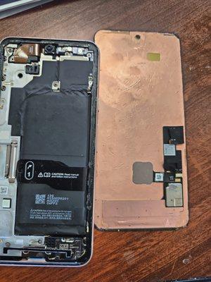 Magic Wireless - Bartlett