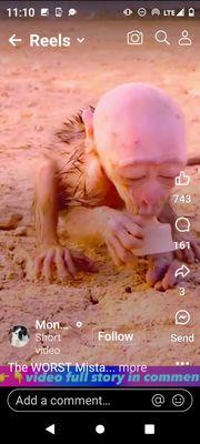 American Muffler and Brake