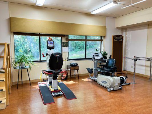Physical Therapy Gym