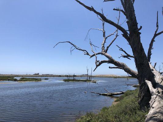 Wetlands & Wildlife Care Center