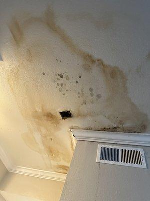 Chimney Hill Apartments