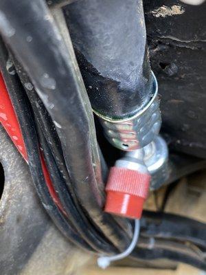 Dark Horse Outfitters