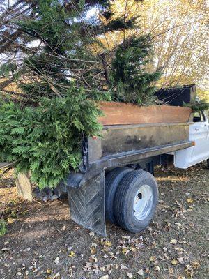 Cut And Go Landscaping