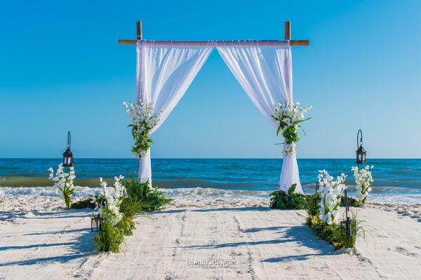 Moses Blackcar Service