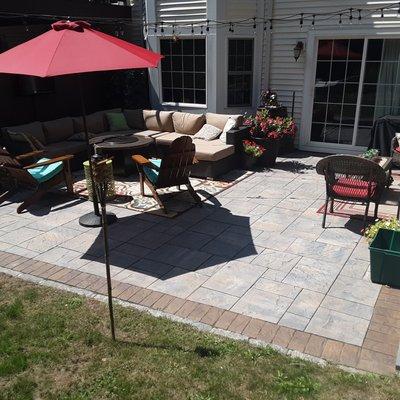 seans tree and landscape