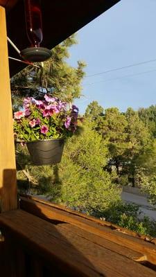 Burro Street Boardinghouse